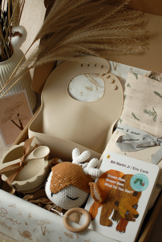 Gift set for newborn -Deer Music Box