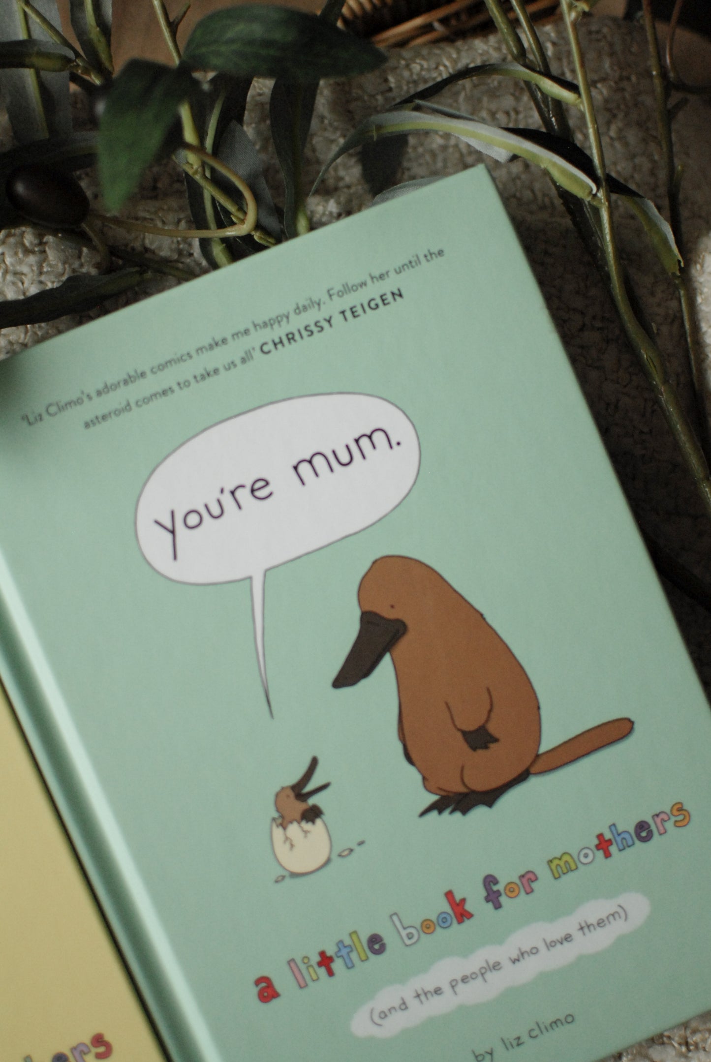 You’re Mum- a little book for mothers