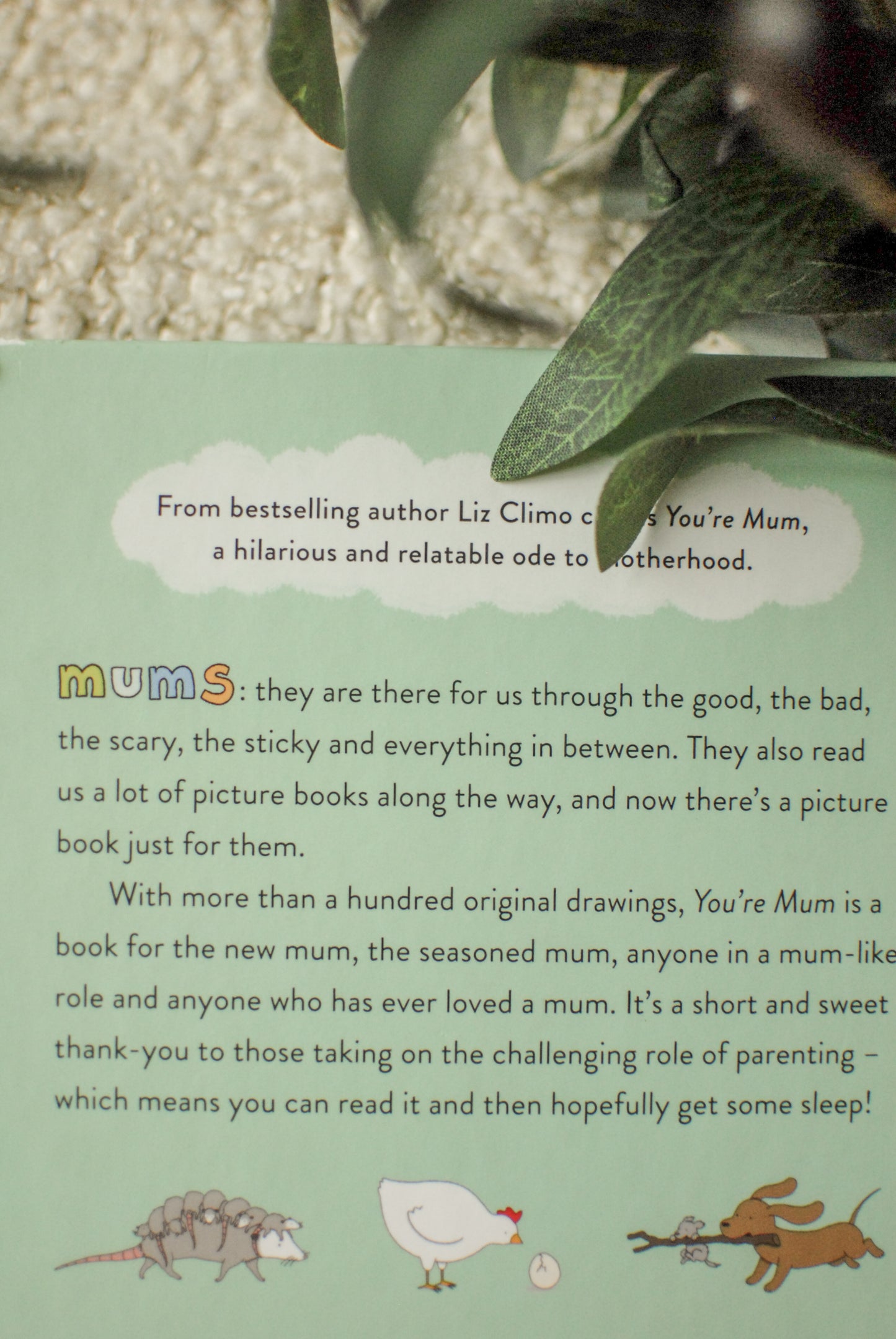 You’re Mum- a little book for mothers