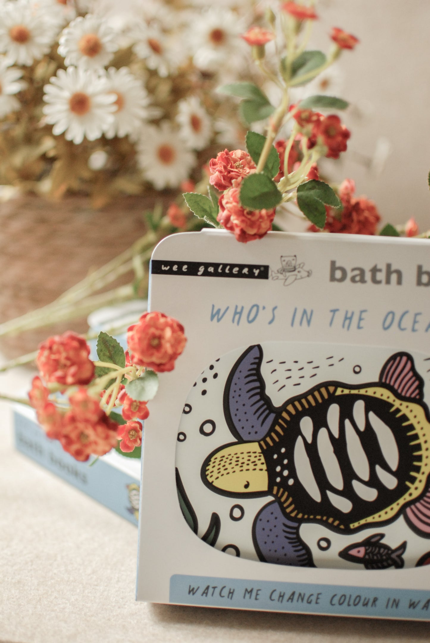 Who's in the Ocean? - Bath Book